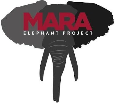 Mara Elephant
