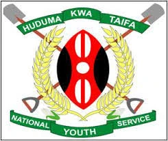 National Youth Service