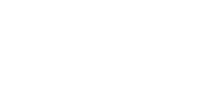 DSL Systems and Solutions LTD